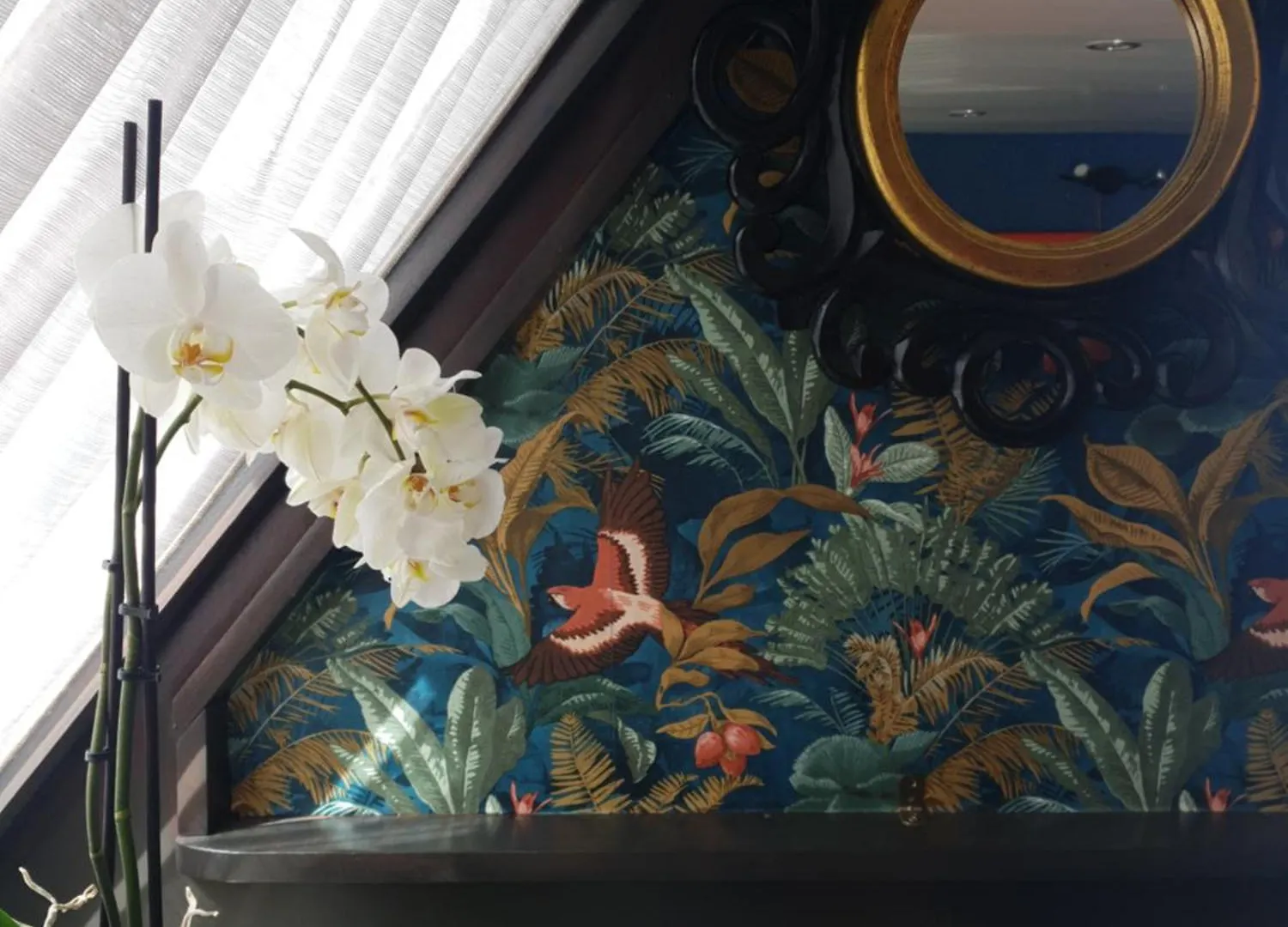 Jasmine Coral Jay Boutique Boatel Ocean Village Gibraltar Botel