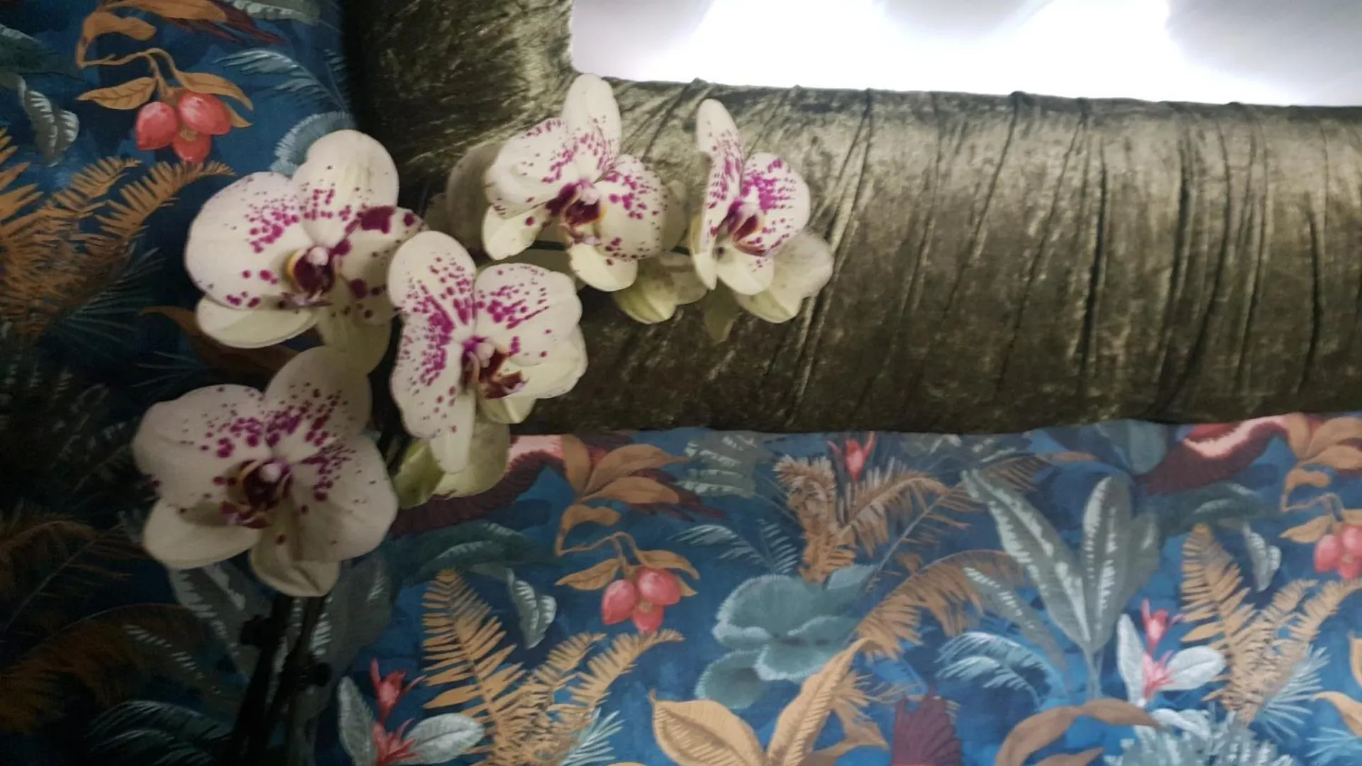 Jasmine Coral Jay Boutique Boatel Ocean Village Gibraltar 0*,  Gibraltar