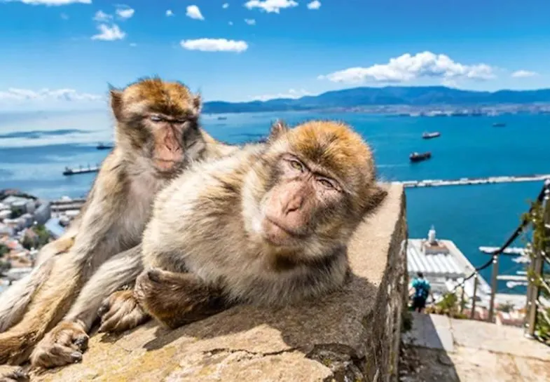 Botel Jasmine Coral Jay Boutique Boatel Ocean Village Gibraltar